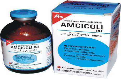 AMCICOLI INJECTION 50 ml!