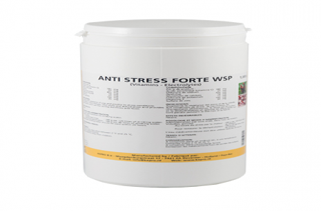 Antistress Forte wsp!