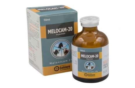 Melocam-20!