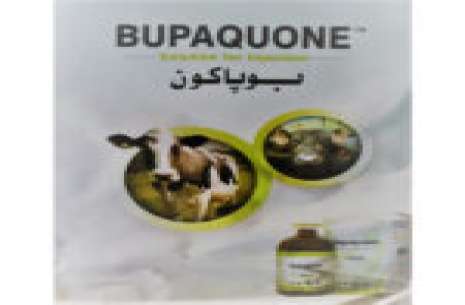 Bupaquone 50ml Injection!