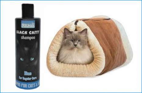 Remu Black Catty Shampoo- Large Blue!