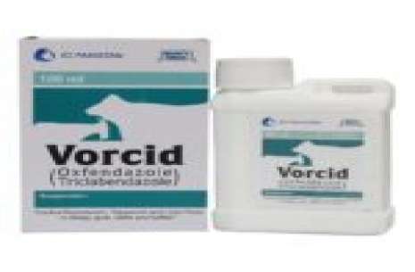 Vorcid – Syp (ICI) 250 ml!