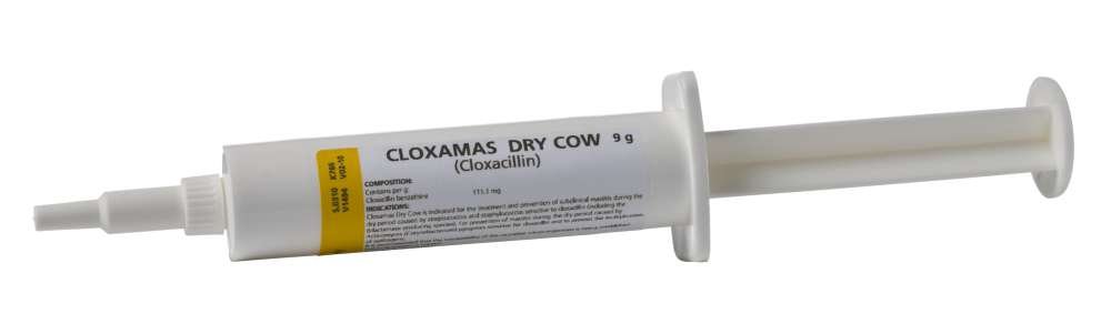 CLOXAMAS DRY!