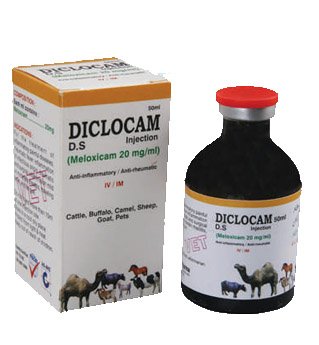 Diclocam!