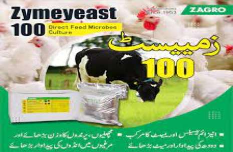 calf starter feed price in pakistan
