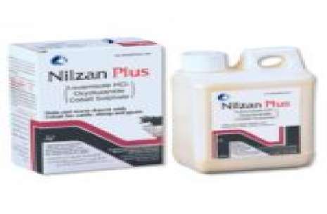 Nilzan Plus – 100ml!