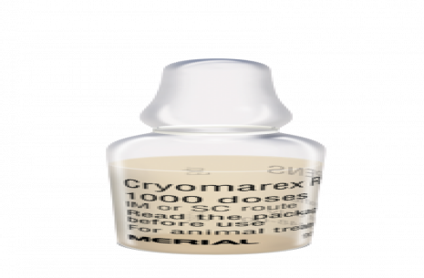 Cryomarex + HVT!