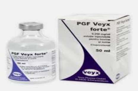 PGF VEYX ® 2,500 SOLUTION FOR INJECTION!