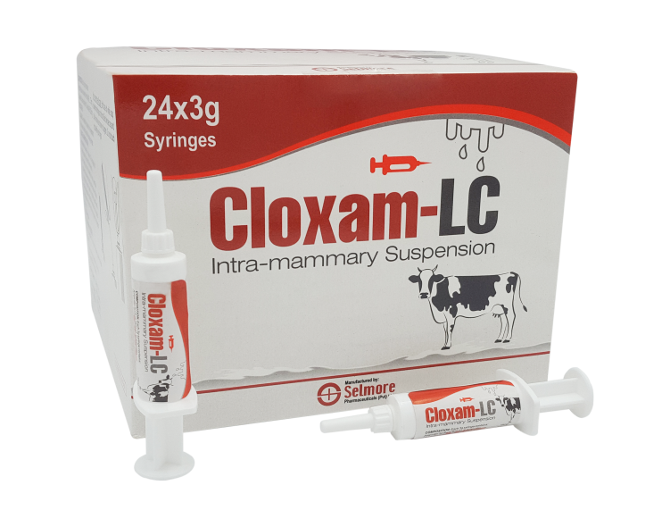 Cloxam LC Intra-mammary!