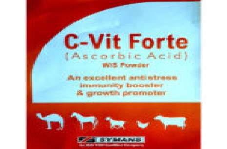 C Vit Forte – 1kg!