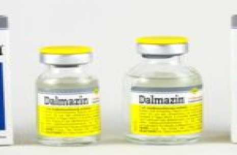 Dalmazin Injection 2 ml!