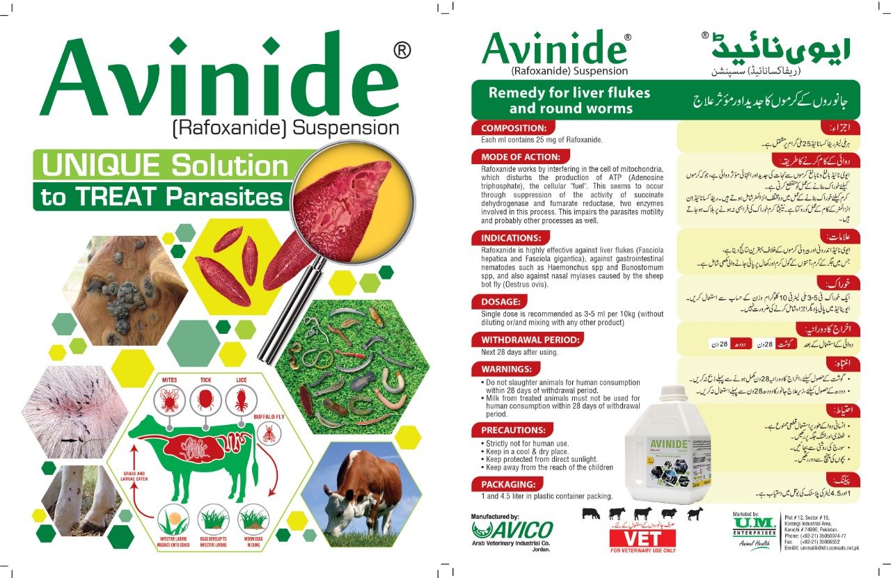 Avinide!