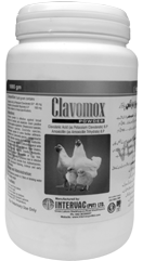 Clavomox Powder!