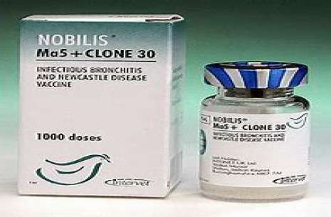 Nobilis® MA5 + Clone 30!