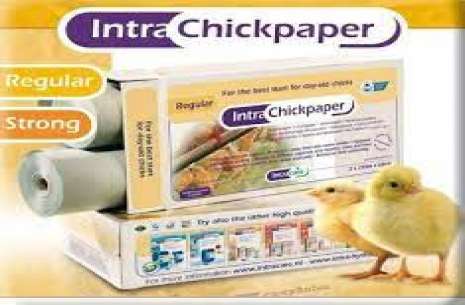 Intra-Chickpaper!