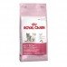 Royal Canin Kitten Cat Food!