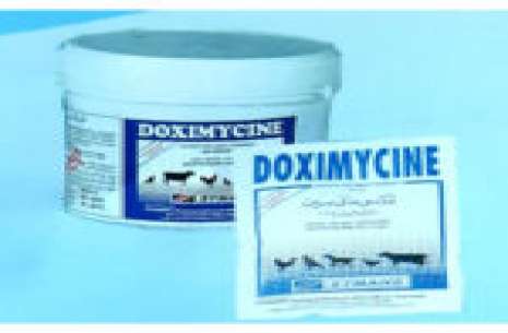 Doximycin Powder 100 gm!