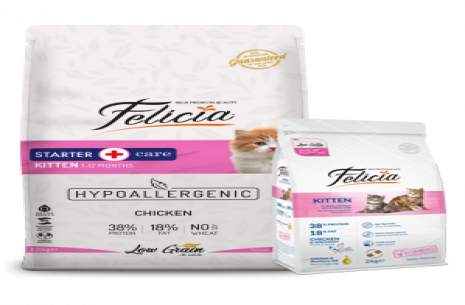 Felicia Low Grain Kitten Cat Food With Lamb!