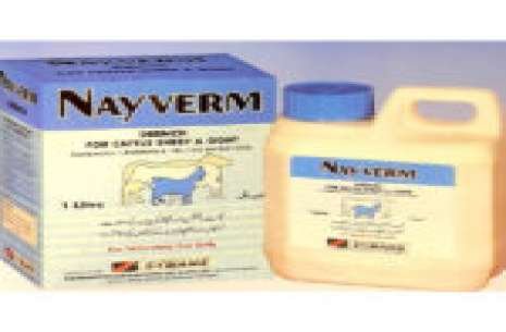 Nayverm – Drench!